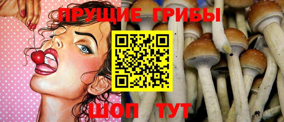 где найти наркотики  Псилоцибиновые грибы прущие грибы  Вход с VPN  Щёлково 
