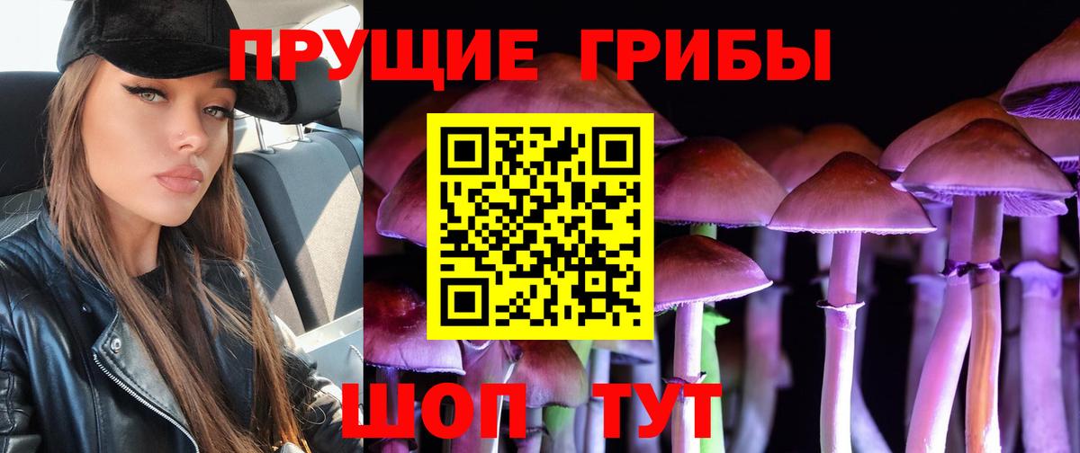 Галлюциногенные грибы прущие грибы Щёлково